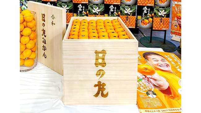 西宇和みかん初競り「日の丸みかん」が100万円で落札　ＪＡにしうわ