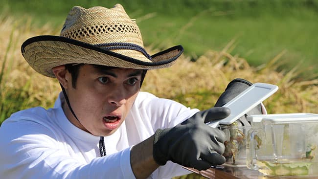 小島よしおが田んぼの生きもの調査「特別授業」YouTubeで配信　ＪＡ全農