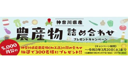 物件成約で「神奈川県産農産物」300人に　ジェイエーアメニティーハウス