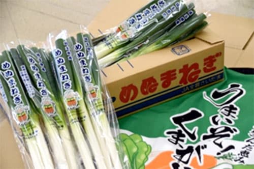 縁結びの御利益込めた「妻沼ねぎ」期間限定で発売　ＪＡくまがや