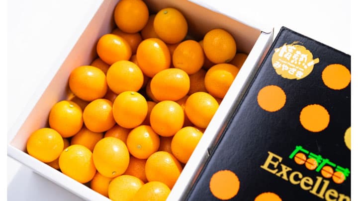 「完熟きんかんたまたま」収穫祭をオンラインで開催　ＪＡはまゆう