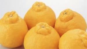旬の佐賀県産「デコポン」スイーツフェア開催　ＪＡ全農