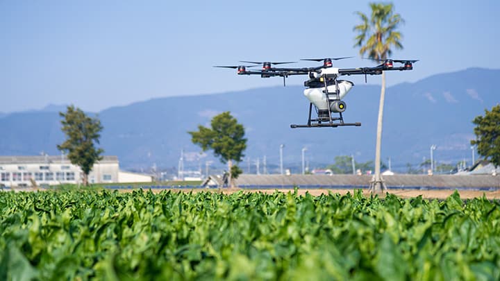 【ＪＡ発　スマート農業最前線】データ分析・省力化　地域の生産基盤守る　（株）ジェイエイフーズみやざき（宮崎県）