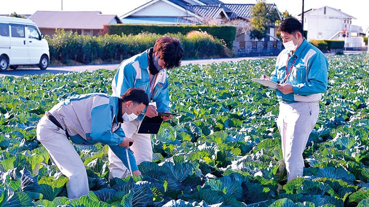 【クローズアップ：野菜産地 コロナ禍で苦戦】需要減で価格低迷、作付けに影響も