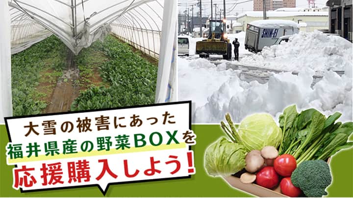 福井県産野菜の応援購入プロジェクトを開始　ＪＡ全農
