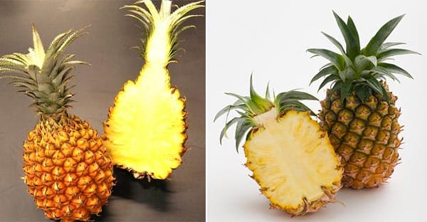 「ＪＡタウン」で 沖縄県産パイナップル販売開始　抽選でプレゼントも