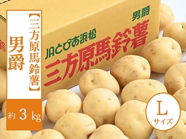 三方原馬鈴薯を販売開始　プレゼントキャンペーンも実施中　ＪＡタウン