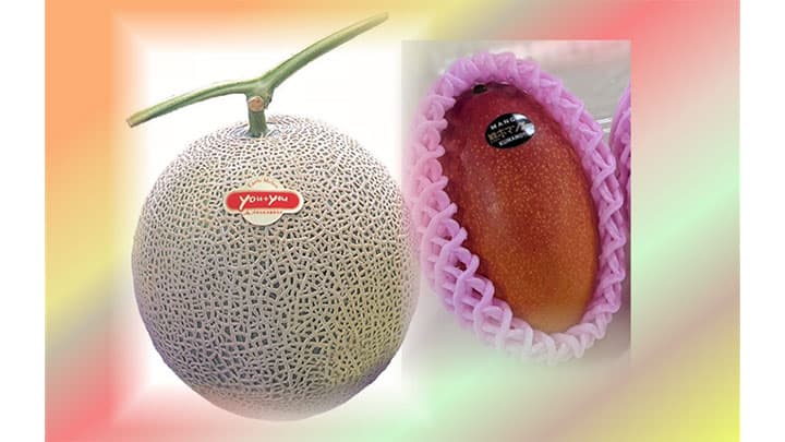 「ＪＡタウン」で熊本県産マンゴーとアールスメロンのセット販売開始　ＪＡ全農