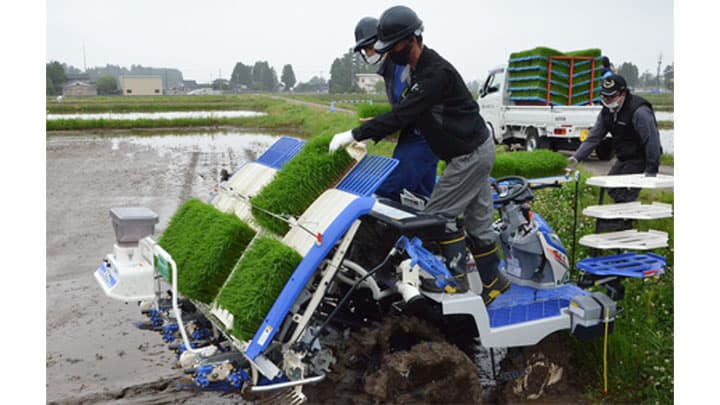 農機担当職員が田植作業研修に参加　ＪＡ全農とやま
