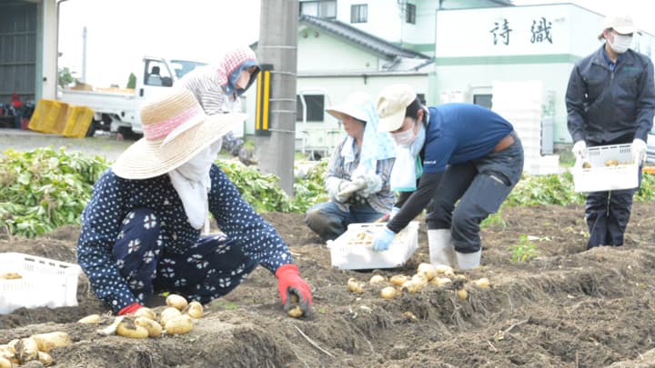 女性農業組織がジャガイモを学校給食に提供　ＪＡふくおか八女