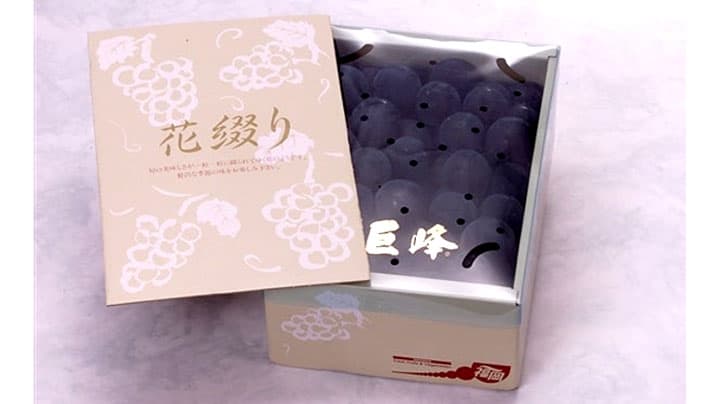 ＪＡふくおか八女産「巨峰」 産地直送通販サイト「ＪＡタウン」で販売中