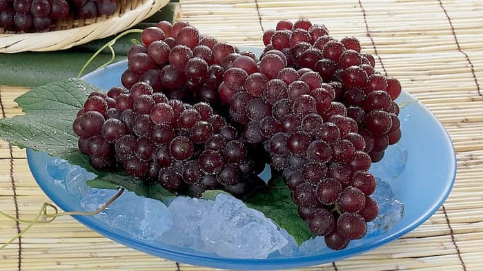 島根県産ぶどう「デラウェア」を販売開始　ＪＡタウン