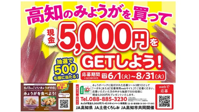 高知県産みょうがでキャンペーン　ＪＡ高知県、ＪＡ土佐くろしお、ＪＡ高知市