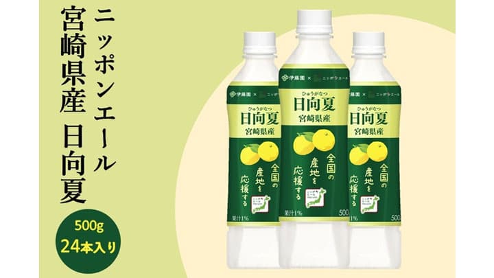 ＪＡタウン「ニッポンエール　宮崎県産日向夏」を販売開始
