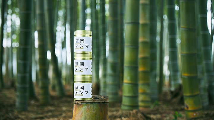 規格外の筍をメンマに　放置竹林の解決へＪＡ延岡と業務提携　LOCAL BAMBOO