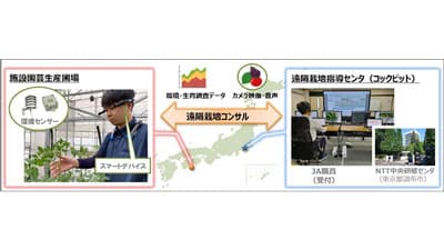 NTT東日本と遠隔栽培指導の実証開始　ＪＡ全農