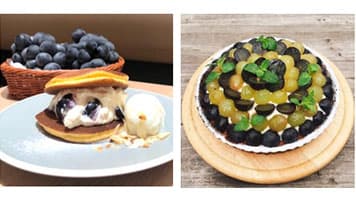 福岡・広島の直営3店舗で「福岡県産巨峰フェア」　ＪＡ全農