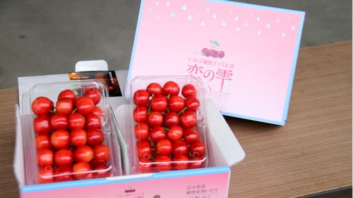 サクランボの新ブランド「恋の雫」誕生　ＪＡ新岩手