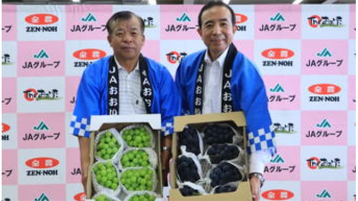 安心院産「シャインマスカット」「ピオーネ」が旬入り　ＪＡおおいた安心院ぶどう部会