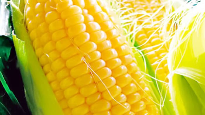 ＪＡタウンで「北海道産とうもろこし」の販売開始　ホクレン