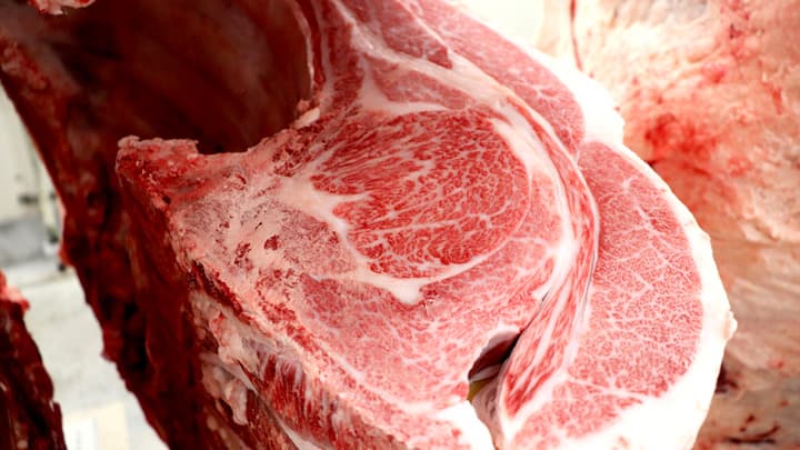 のば牧場が県畜産共進会冬季に続き2冠　ＪＡ全農ひろしま