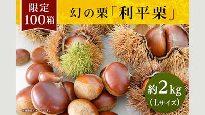 秋の味覚・栗の王様　熊本「利平栗」販売開始　ＪＡタウン