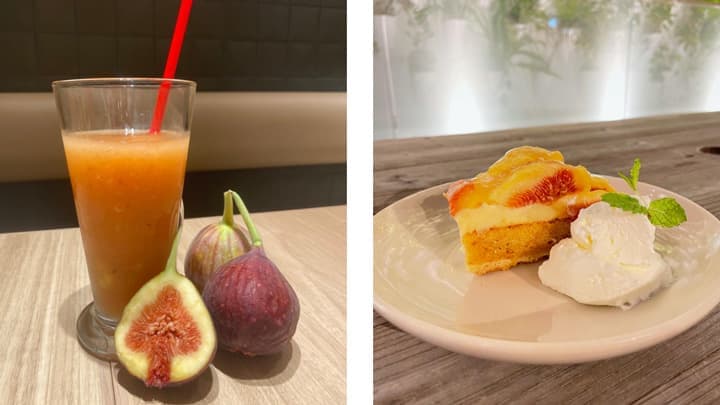 出荷最盛期のイチジクをスイーツで提供　「博多とよみつひめフェア」　ＪＡ全農