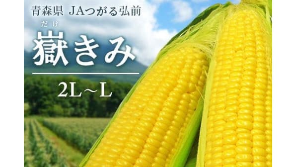 地域限定生産　青森県産プレミアムとうもろこし「嶽きみ」販売開始　JAタウン