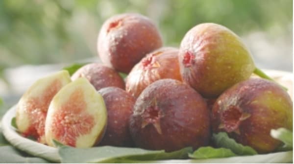 福岡県産イチジク「博多とよみつひめ」の魅力をラジオで発信　ＪＡ全農