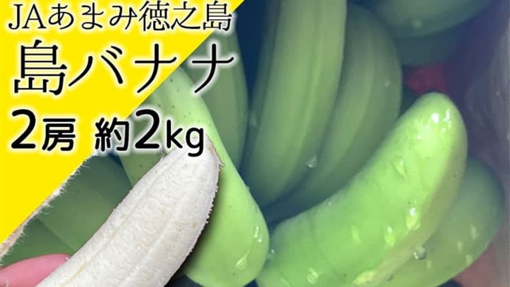 鹿児島県徳之島産「島バナナ」数量限定で販売開始　ＪＡタウン