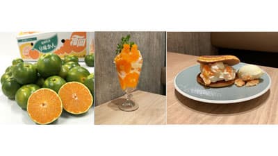 福岡オリジナル品種の極早生みかん「早味かんフェア」開催　ＪＡ全農