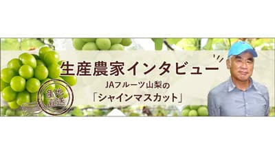 山梨県のシャインマスカット農家にインタビュー　ＪＡタウン