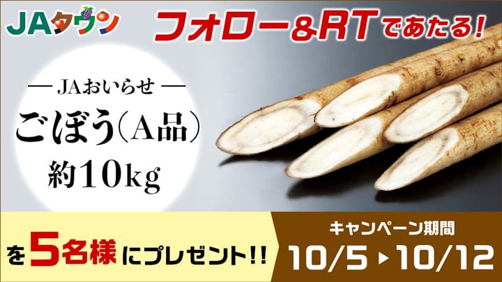 シャキシャキ食感と香りが自慢　青森県産「ごぼう」数量限定で販売　ＪＡタウン