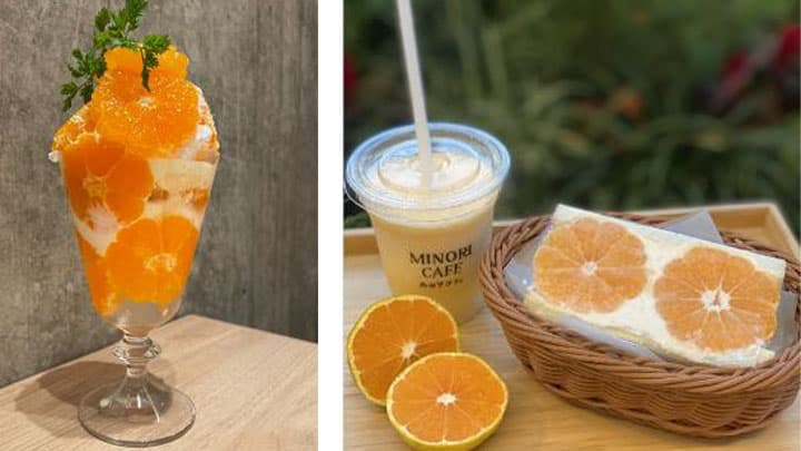 みのりカフェで福岡県産温州みかん「北原早生」フェア開催　ＪＡ全農