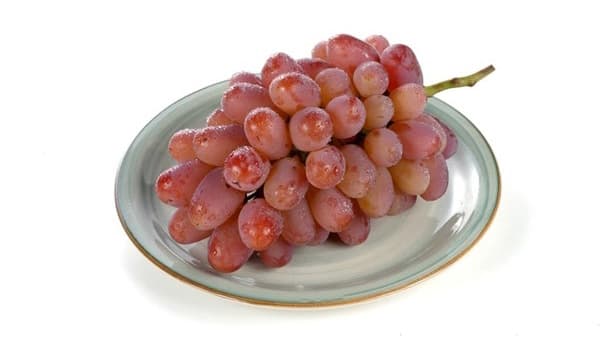 冬のぶどうの新品種　岡山県産「紫苑」数量限定で販売　ＪＡタウン