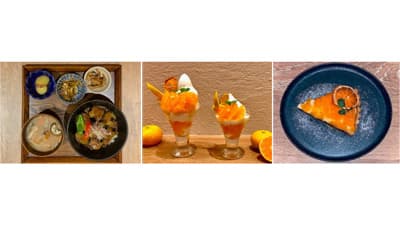 「肥後のでこなす」と「夢の恵」の季節「ＪＡ熊本市フェア」開催