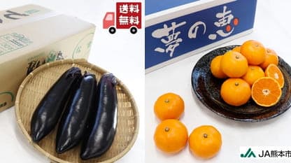 早生みかん「夢の恵」と「肥後のでこなす」期間限定で送料無料　ＪＡタウン