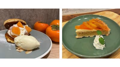 甘くてしっとり　福岡県産「富有柿」フェア　直営飲食店で開催　ＪＡ全農