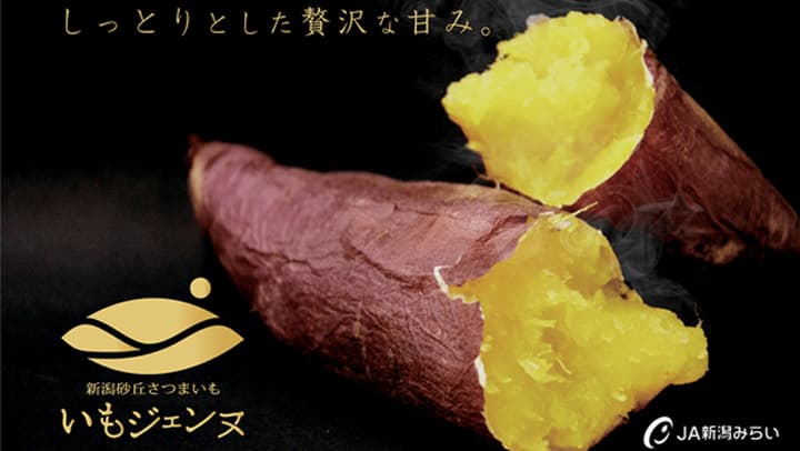 しっとり食感で甘い　新潟県産さつまいも「いもジェンヌ」販売開始　ＪＡタウン
