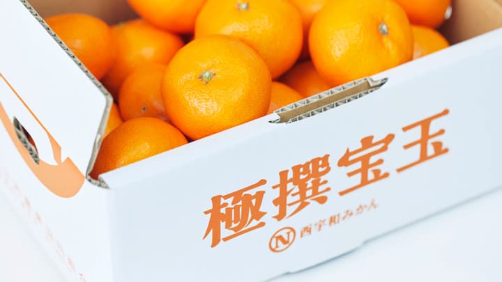 大きくてうまいみかん「極撰宝玉」オンラインストアで販売開始　ＪＡにしうわ