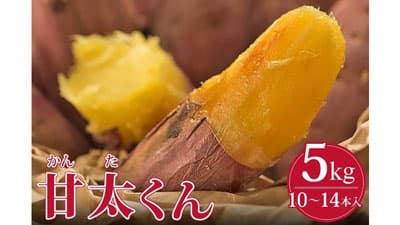 あんこのように甘い　大分県産さつまいも「甘太くん」販売開始　ＪＡタウン