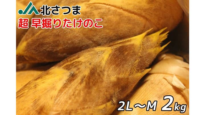 鹿児島県産ＪＡ北さつま「超早掘りたけのこ」販売開始　ＪＡタウン