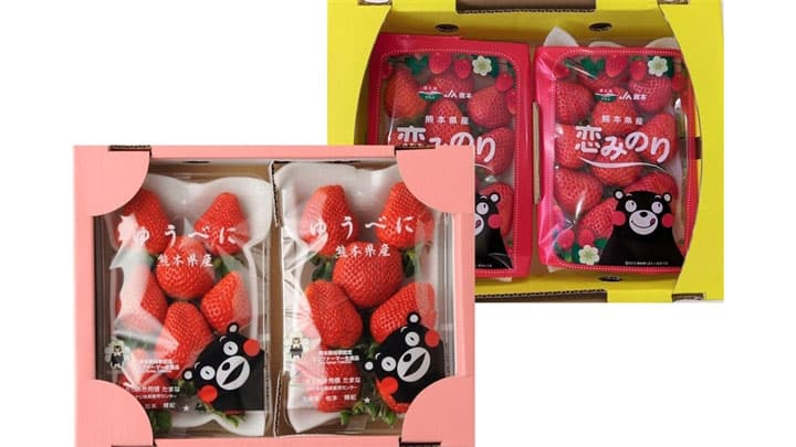 熊本県の新品種いちご「ゆうべに」と「恋みのり」販売開始　ＪＡタウン