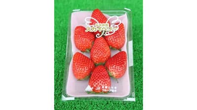 てっぺん級の甘さ　栃木県産いちご「スカイベリー」販売開始　ＪＡタウン