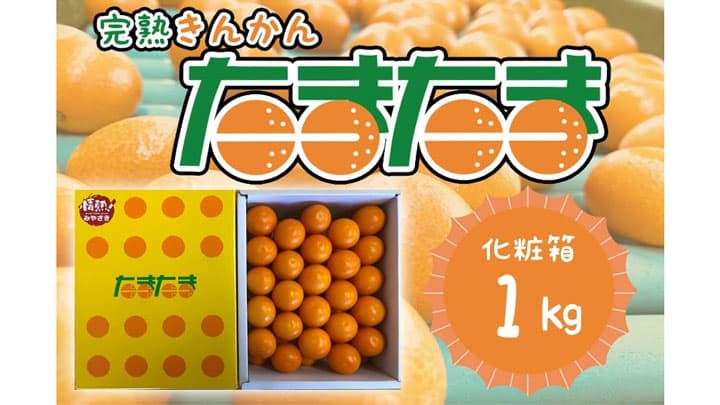 宮崎ブランドの完熟きんかん「たまたま」販売開始　ＪＡタウン
