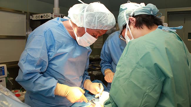 【特集：希望は農協運動にある】健康と安心守る砦――地域・農村医療の要・神奈川県厚生連（１）　根岸久子　日本協同組合連携機構客員研究員