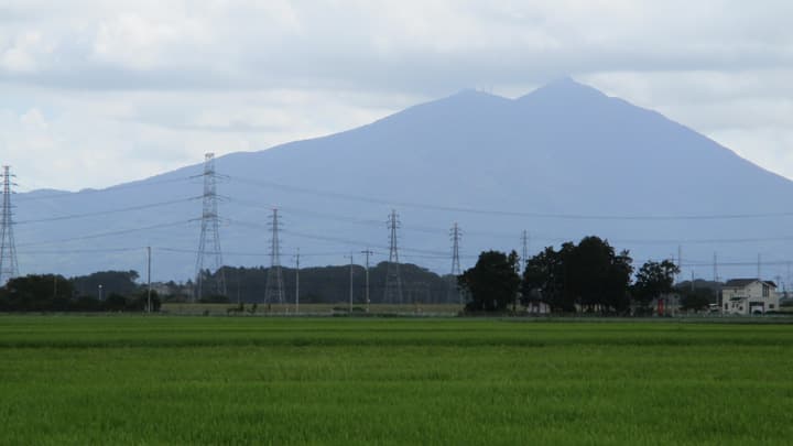 【クローズアップ：緊急事態下の産地は今】コロナ禍　影響じわり気候変動に懸念も―首都圏の台所・ 茨城の現場から（２）