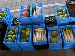 学校給食は東京野菜 都市農業へ理解醸成