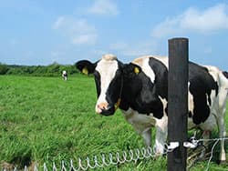 【提言】農業は北海道の"生命線" （一社）北海道地域農業研究所 特別顧問（前・北海道農政部長）竹林孝氏