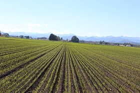 【ＪＡトップインタビュー】農民が一致団結して　底力を発揮するとき